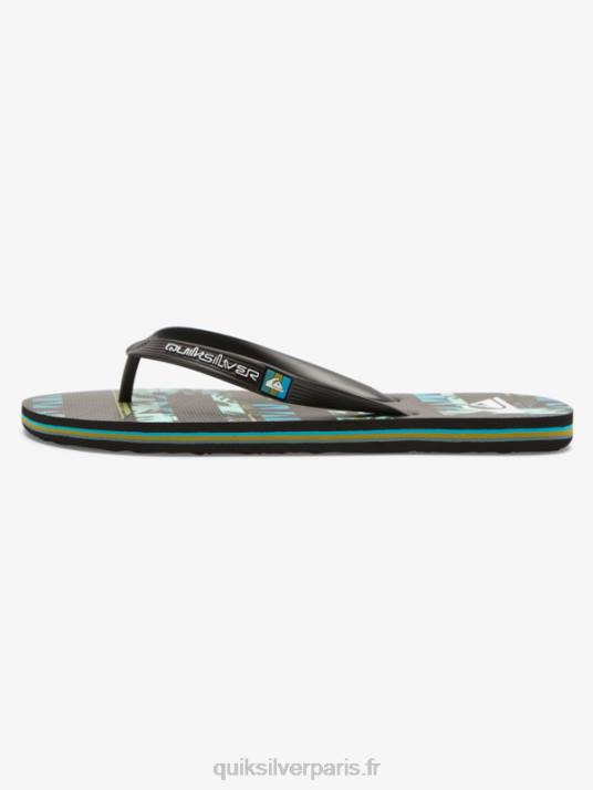 Hommes Quiksilver tongs art gregg kaplan molokai D6PT524 noir/bleu/vert