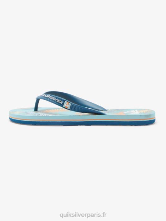 Hommes Quiksilver tongs d\'art molokai D6PT519 bleu/noir/jaune