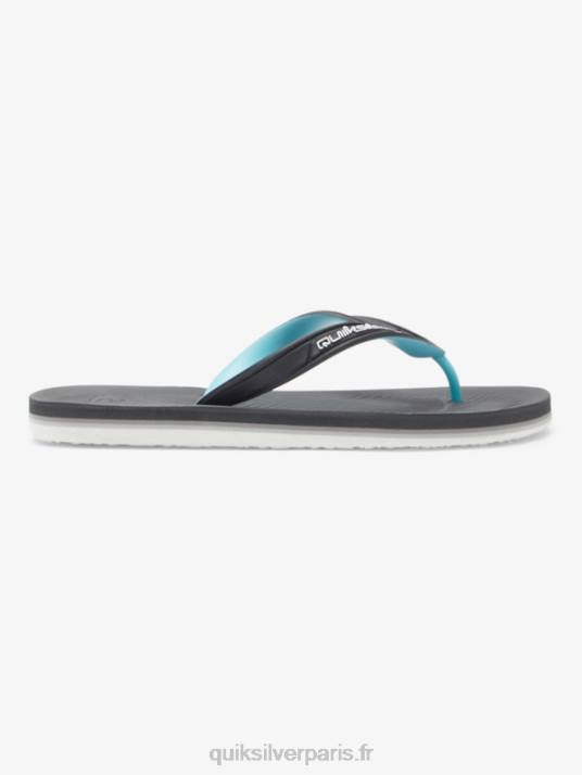 Hommes Quiksilver tongs haleiwa core D6PT952 gris 2