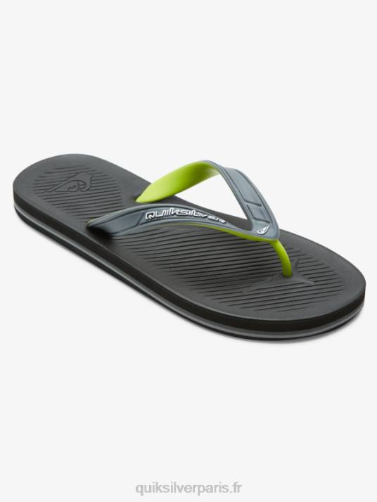 Hommes Quiksilver tongs haleiwa core D6PT953 gris 1