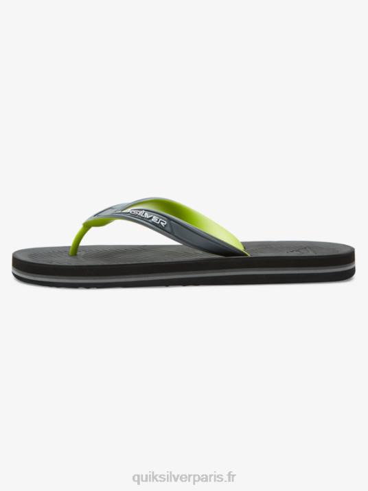 Hommes Quiksilver tongs haleiwa core D6PT953 gris 1