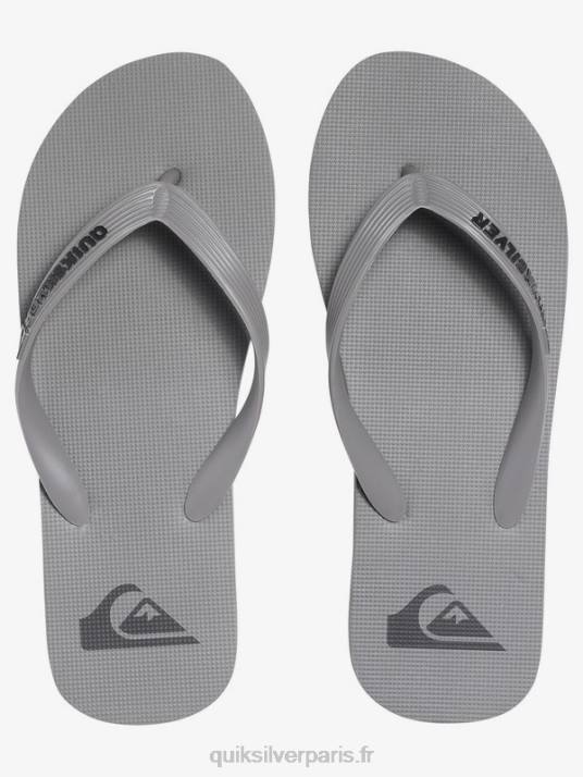 Hommes Quiksilver tongs molokai D6PT1590 gris