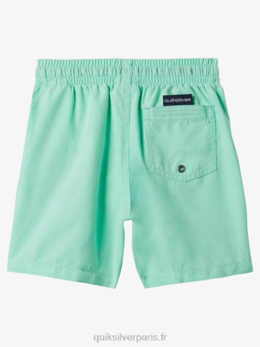 garçons Quiksilver 2-7 tous les jours 12 volées D6PT1999 verre de plage