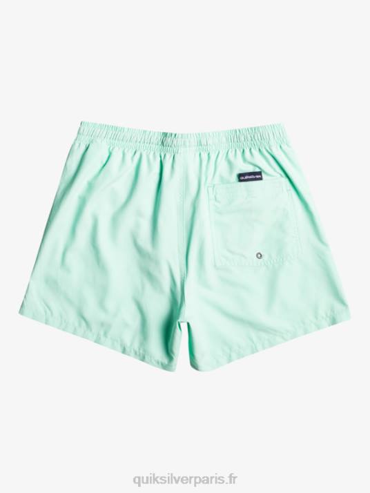 garçons Quiksilver 8-16 tous les jours 15 volées D6PT1919 verre de plage