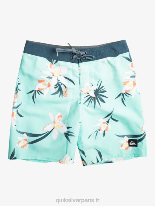 garçons Quiksilver 8-16 tous les jours qs 69 16 boardshorts D6PT2140 verre de plage