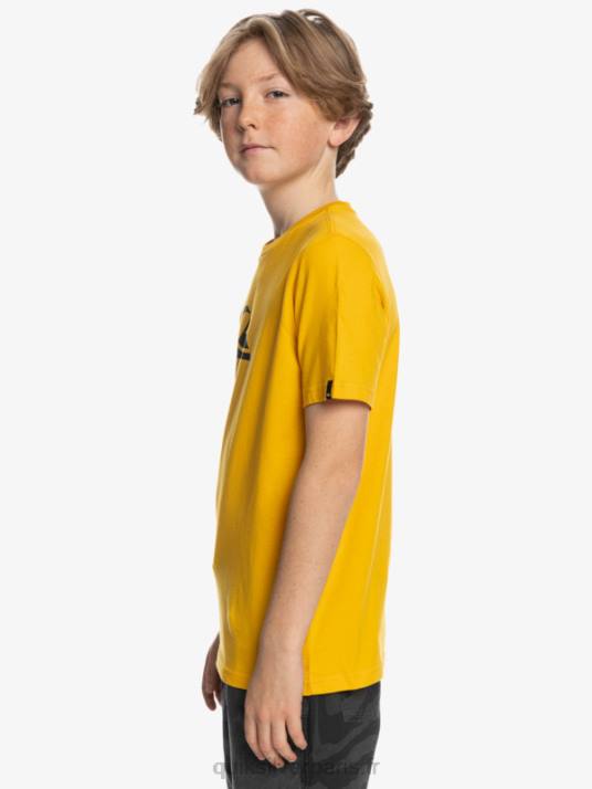 garçons Quiksilver logo comp - t-shirt D6PT2316 tige d\'or