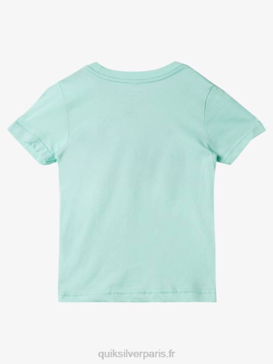 garçons Quiksilver t-shirt héritage 2-7 rad D6PT1958 verre de plage