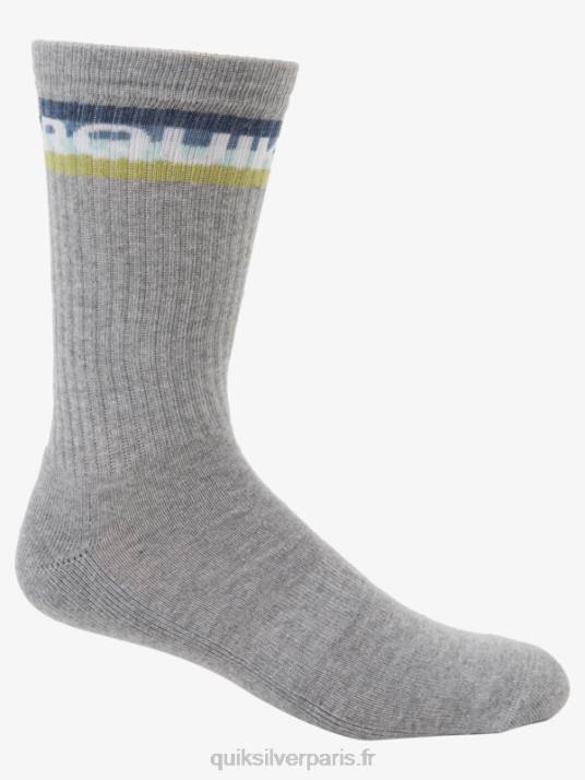 Hommes Quiksilver Lot de 2 paires de chaussettes Everyday Swell Crew D6PT1091 bruyère ivoire