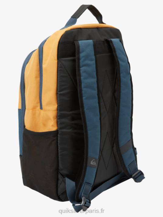 Hommes Quiksilver Sac à dos spécial 28 l 1969 D6PT709 pépite