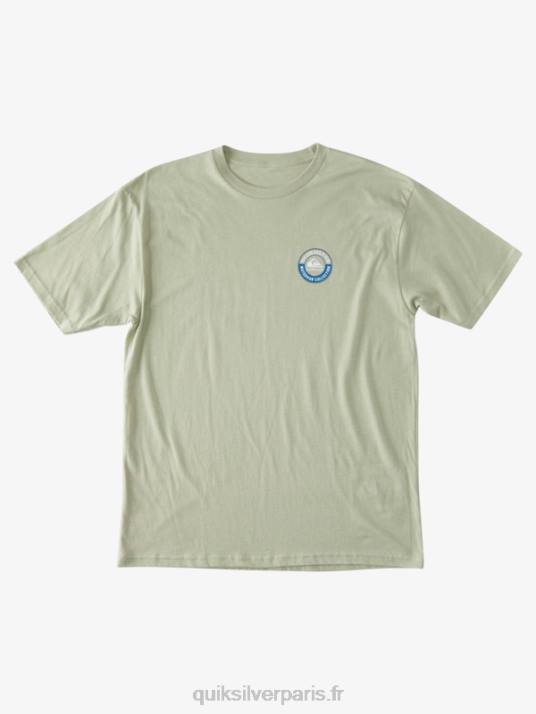 Hommes Quiksilver w capitaines voyage t-shirt D6PT1373 thé