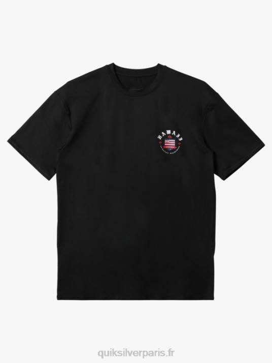 Hommes Quiksilver Hawaii Royalty UPF 50 T-shirt de surf à manches courtes D6PT1123 noir