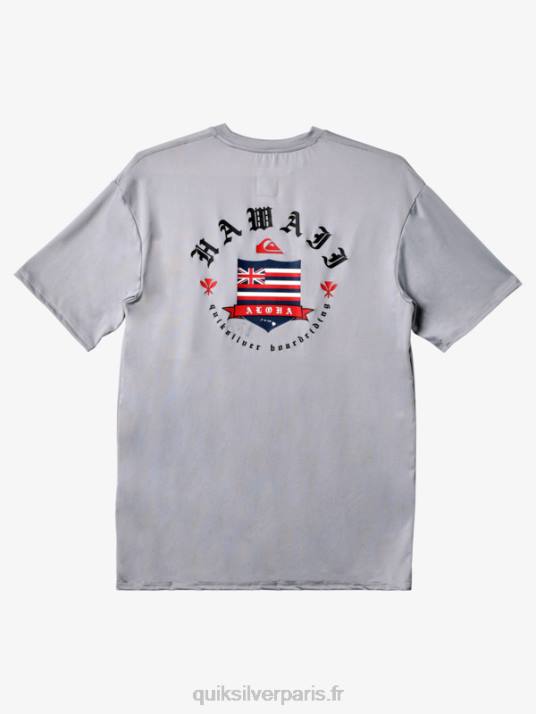 Hommes Quiksilver Hawaii Royalty UPF 50 T-shirt de surf à manches courtes D6PT1124 neige fondue