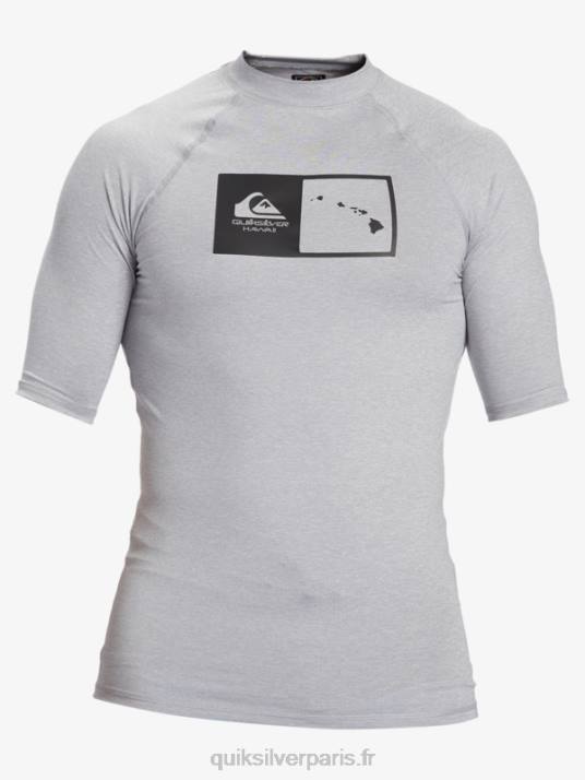 Hommes Quiksilver hawaii double down upf 50 t-shirt de surf à manches courtes D6PT1169 bruyère