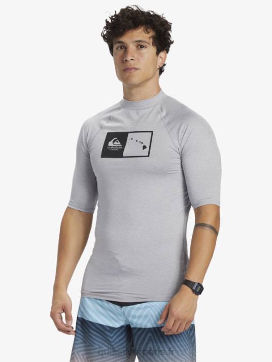 Hommes Quiksilver hawaii double down upf 50 t-shirt de surf à manches courtes D6PT1169 bruyère