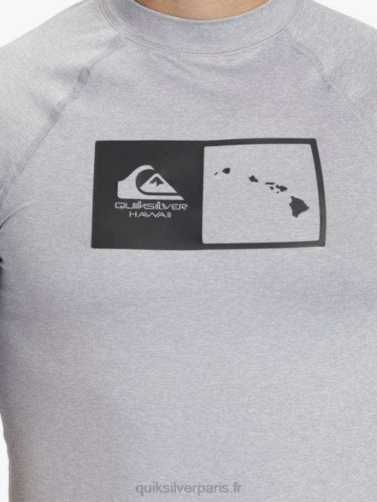 Hommes Quiksilver hawaii double down upf 50 t-shirt de surf à manches courtes D6PT1169 bruyère