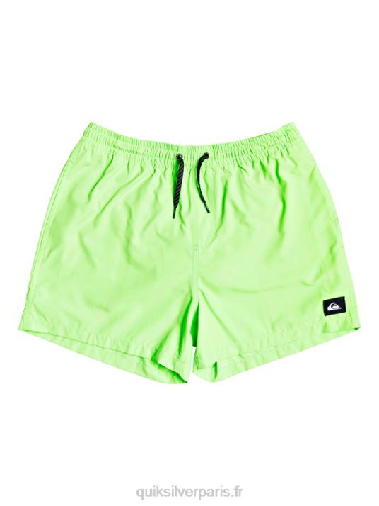 Hommes Quiksilver 15 volées tous les jours D6PT460 gecko vert