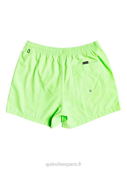 Hommes Quiksilver 15 volées tous les jours D6PT460 gecko vert