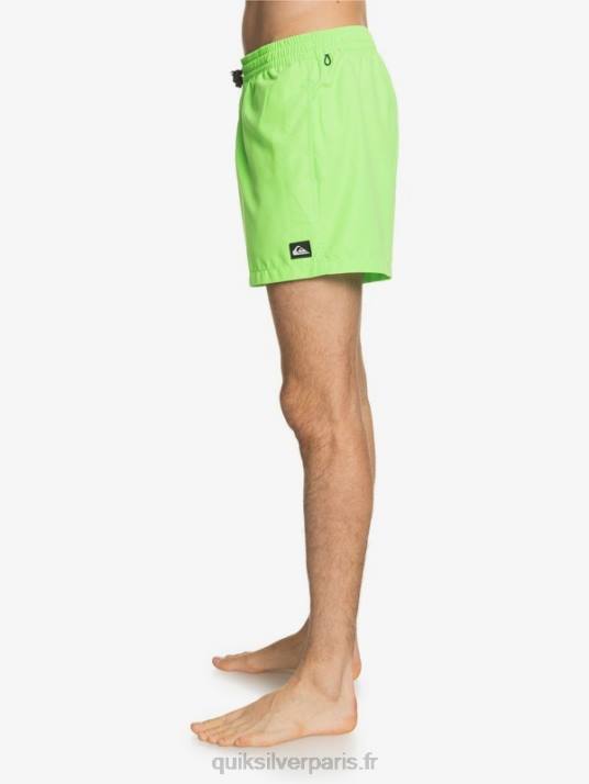 Hommes Quiksilver 15 volées tous les jours D6PT460 gecko vert