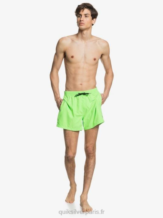 Hommes Quiksilver 15 volées tous les jours D6PT460 gecko vert