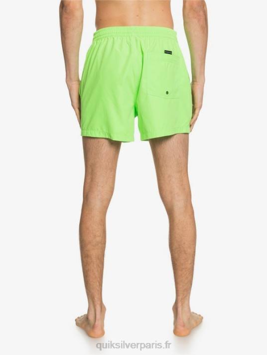 Hommes Quiksilver 15 volées tous les jours D6PT460 gecko vert