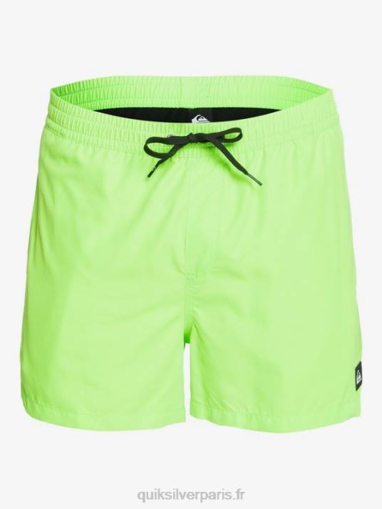 Hommes Quiksilver 15 volées tous les jours D6PT460 gecko vert