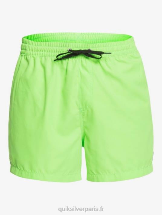 Hommes Quiksilver 15 volées tous les jours D6PT460 gecko vert