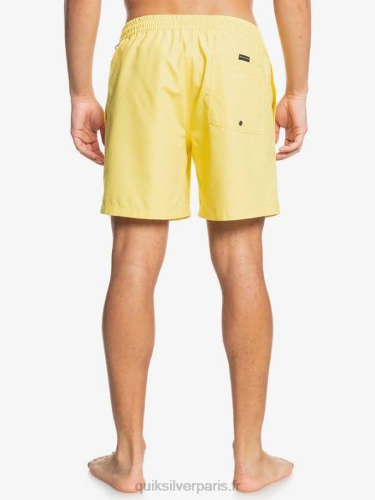 Hommes Quiksilver 17 volées tous les jours D6PT1526 zeste de citron