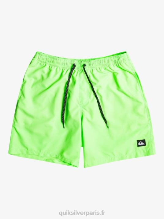 Hommes Quiksilver 17 volées tous les jours D6PT621 gecko vert