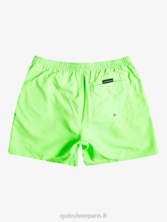 Hommes Quiksilver 17 volées tous les jours D6PT621 gecko vert