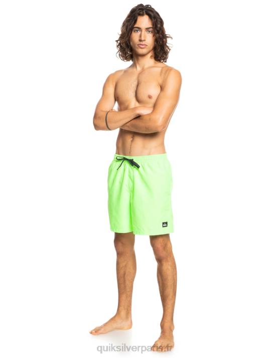 Hommes Quiksilver 17 volées tous les jours D6PT621 gecko vert