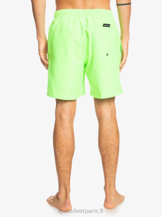 Hommes Quiksilver 17 volées tous les jours D6PT621 gecko vert