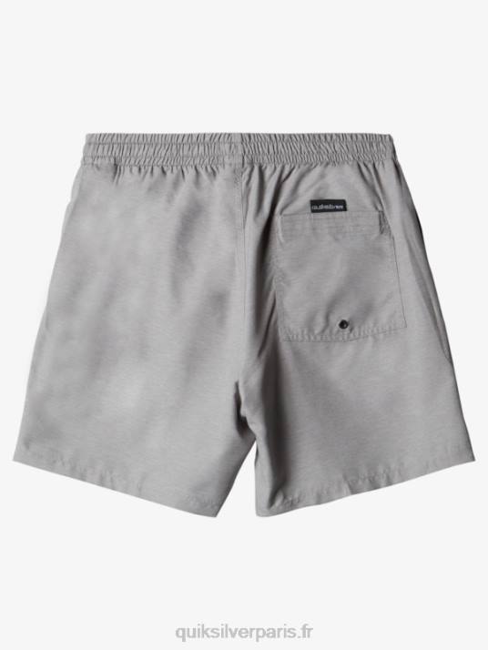 Hommes Quiksilver 17 volées tous les jours D6PT629 bruyère