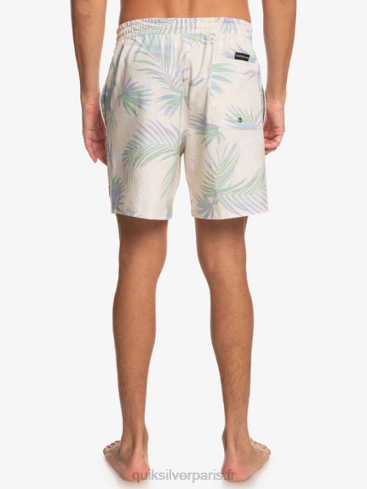 Hommes Quiksilver mélange de soie de surf 17 volées D6PT635 bouleau