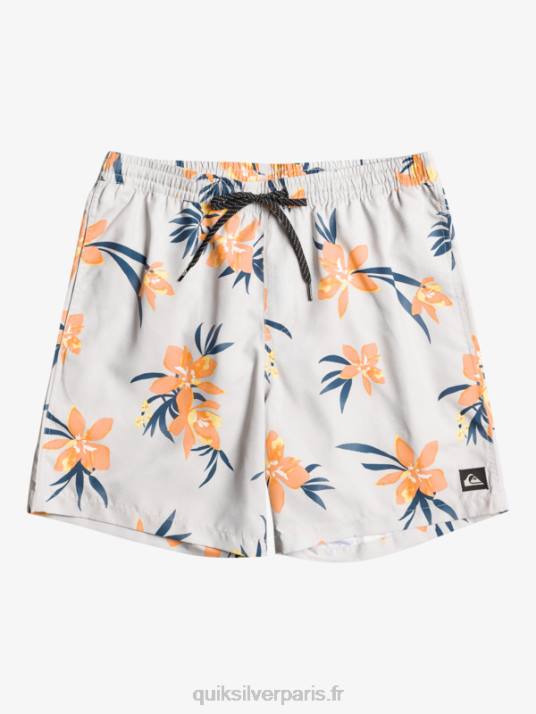 Hommes Quiksilver mélange quotidien 17 volées D6PT1210 gris violet