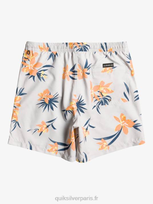Hommes Quiksilver mélange quotidien 17 volées D6PT1210 gris violet