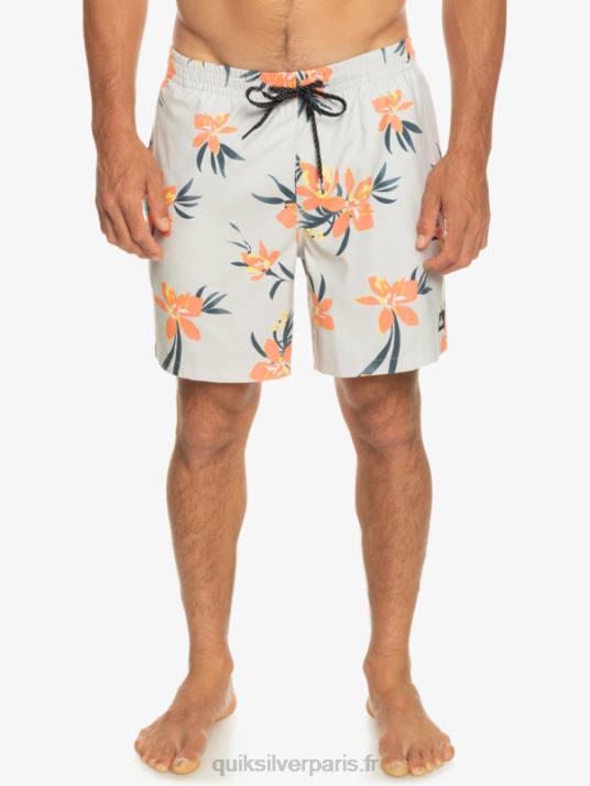 Hommes Quiksilver mélange quotidien 17 volées D6PT1210 gris violet