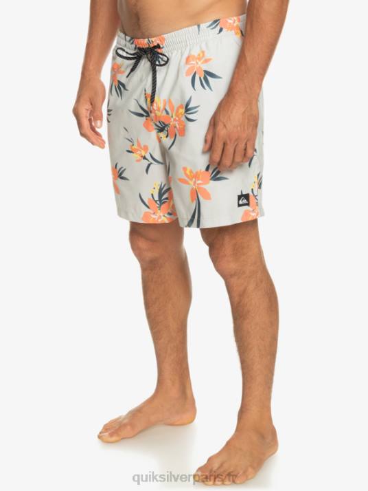 Hommes Quiksilver mélange quotidien 17 volées D6PT1210 gris violet