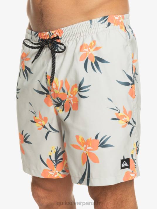 Hommes Quiksilver mélange quotidien 17 volées D6PT1210 gris violet