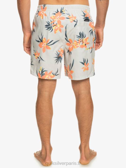 Hommes Quiksilver mélange quotidien 17 volées D6PT1210 gris violet