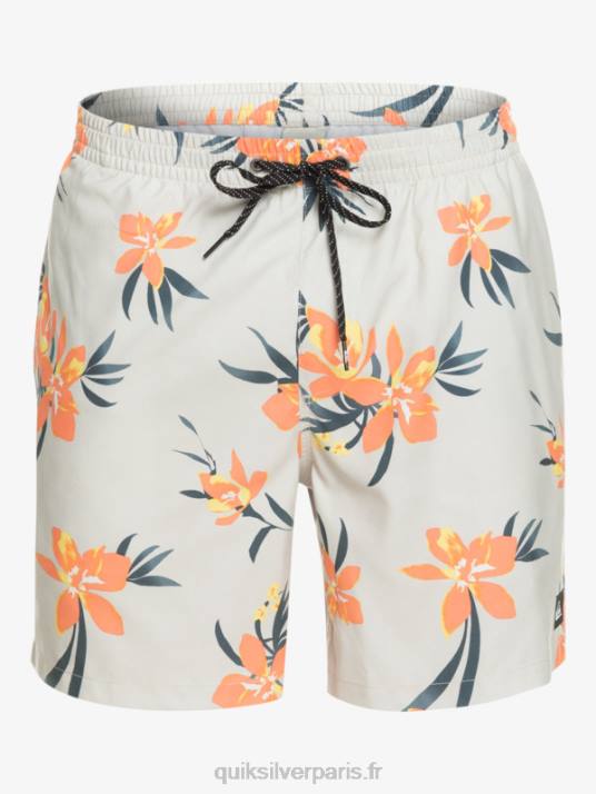 Hommes Quiksilver mélange quotidien 17 volées D6PT1210 gris violet