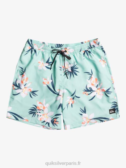 Hommes Quiksilver mélange quotidien 17 volées D6PT1211 verre de plage