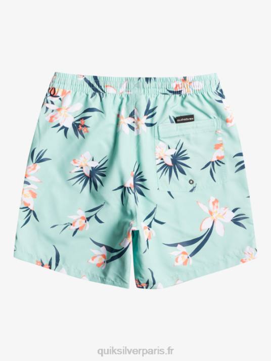 Hommes Quiksilver mélange quotidien 17 volées D6PT1211 verre de plage