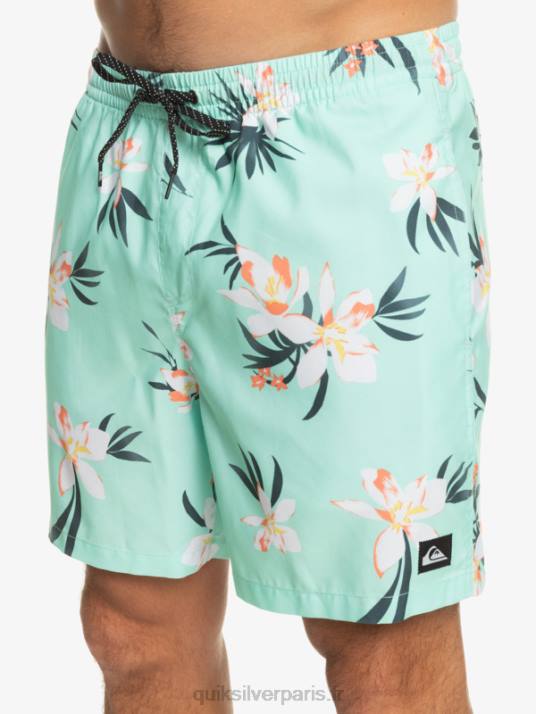 Hommes Quiksilver mélange quotidien 17 volées D6PT1211 verre de plage