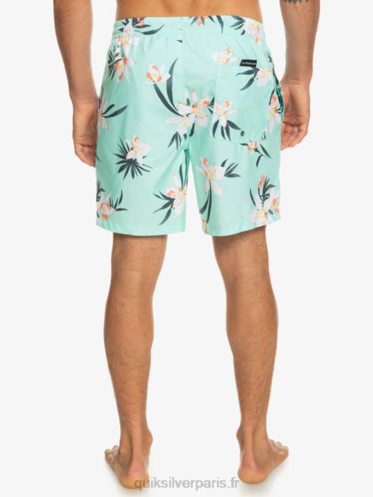 Hommes Quiksilver mélange quotidien 17 volées D6PT1211 verre de plage