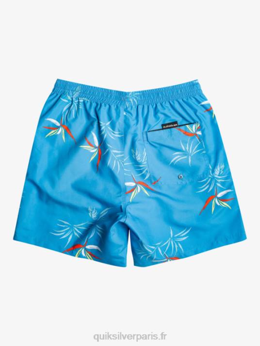 Hommes Quiksilver mélange quotidien 17 volées D6PT674 bleu azur