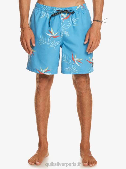 Hommes Quiksilver mélange quotidien 17 volées D6PT674 bleu azur