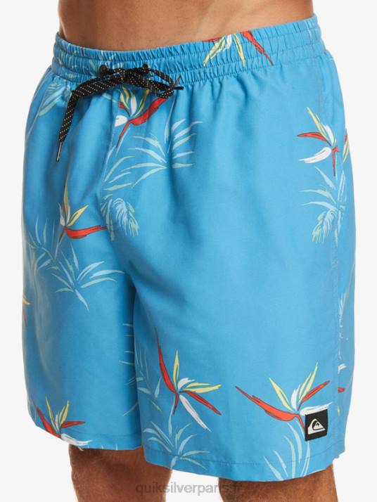 Hommes Quiksilver mélange quotidien 17 volées D6PT674 bleu azur
