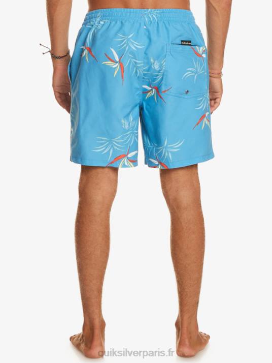 Hommes Quiksilver mélange quotidien 17 volées D6PT674 bleu azur