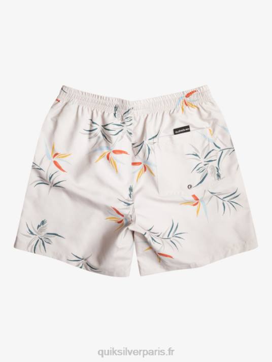Hommes Quiksilver mélange quotidien 17 volées D6PT676 bouleau