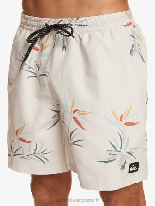 Hommes Quiksilver mélange quotidien 17 volées D6PT676 bouleau